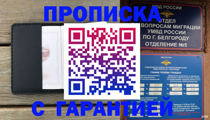 временная регистрация для всех в Благовещенске